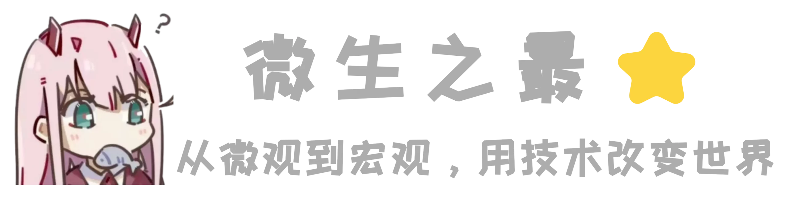 微生之最,网络运维,计算机编程,网站优化,系统运维